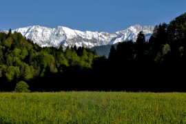 बर्फाळ-शिखर-पर्वत 19 सूची